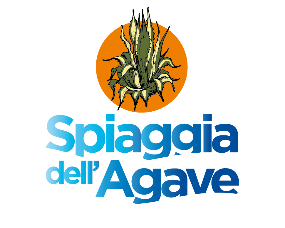 agavebox3